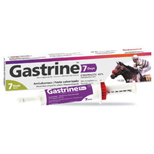 GASTRINE 7 DAYS JGA 31,5GR