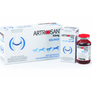 ARTROSAN INY EQUINO 6ML