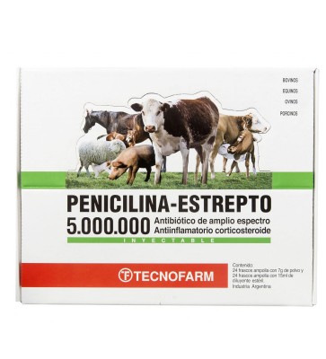 penici PENICILINA/EST 5.000.000 U.I. 1FCO TECNO