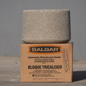 PIEDRA SAL SALGAR 13 KG