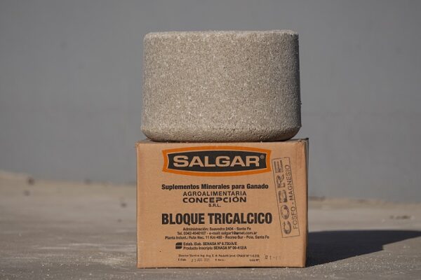 salesminerales PIEDRA SAL SALGAR 13 KG