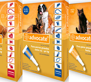 ADVOCATE SPOT ON GATO 4-8KG