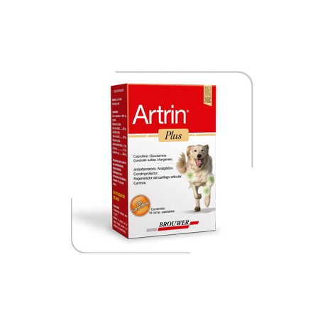 ARTRIN PLUS 6COMP