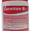 CARNITON B-12 500G