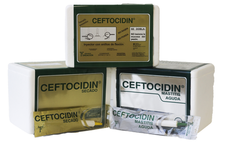 CEFTOCIDIN SECADO JGA