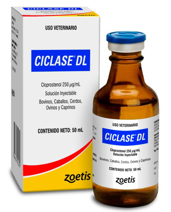 CICLASE DL INY 20ML