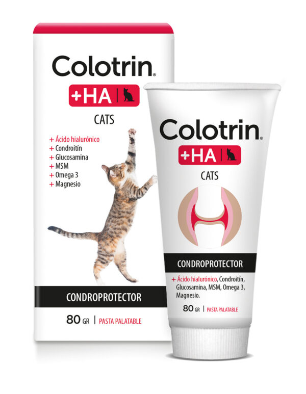 COLOTRIN +HA CAT PASTA 80G