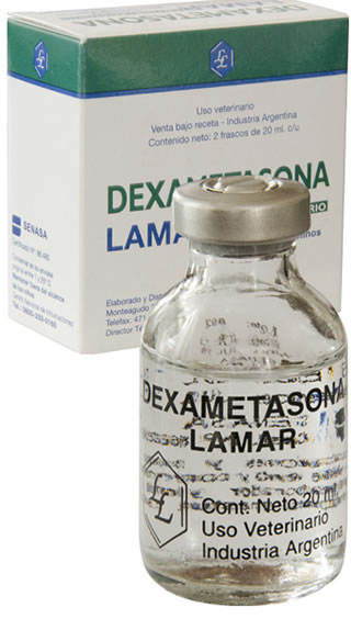DEXAMETASONA LM 1 FCO 20ML