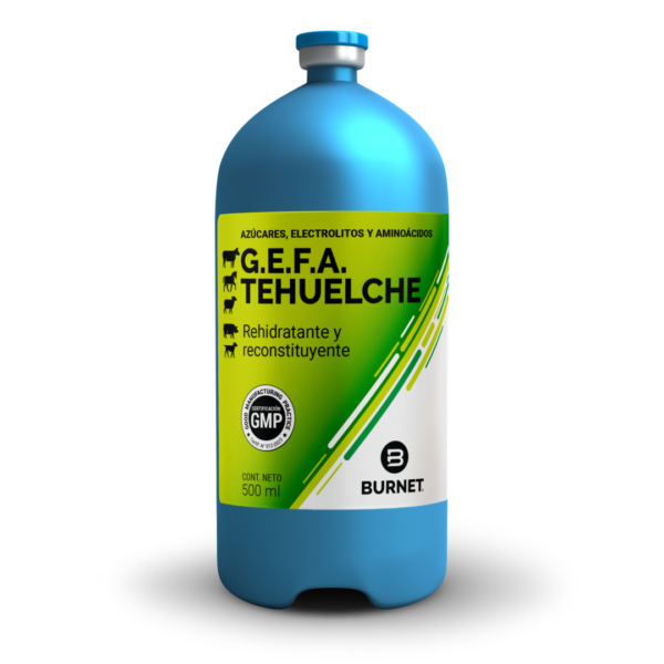 GEFA TEHUELCHE INY 500ML