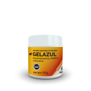 GEL AZUL BURNET 100GR