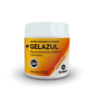 GEL AZUL BURNET 250GR
