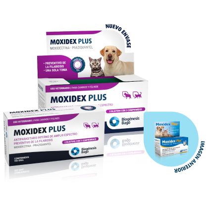MOXIDEX PLUS 3COMP