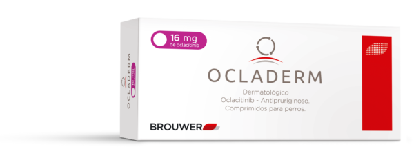 OCLADERM 16  MG 20 COMP
