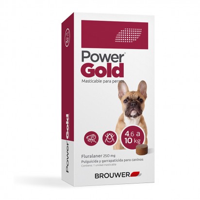 POWER GOLD MASTICABLE 4.6 A 10 KG