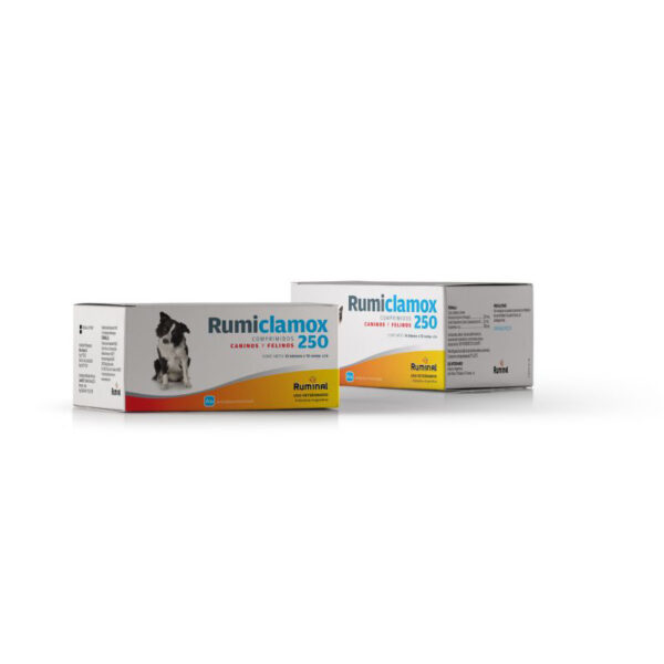 RUMICLAMOX 250 1BL 10COMP