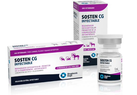 SOSTEN CG CAJA INY 5 AMP X  5ML