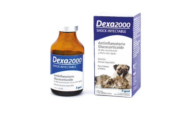 DEXA 2000 SHOCK 25ML