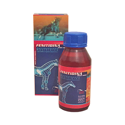 FENITIDINA SH 100ML