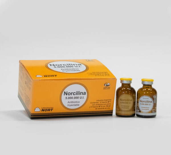 NORCILINA NORT INY CAJA 6 FCOS