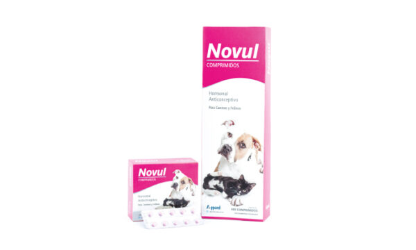 NOVUL 1BL 10COMP