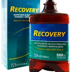 RECOVERY INY 500ML