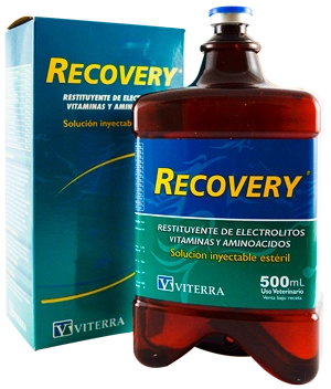 RECOVERY INY 500ML