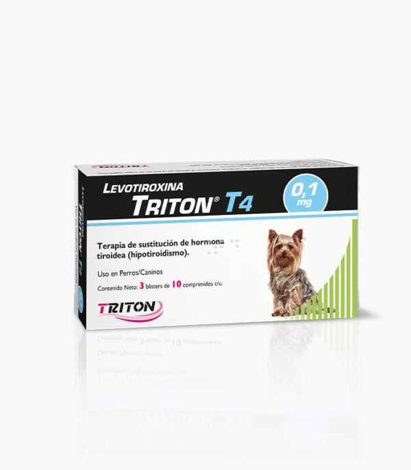 T4 TRITON 0,1 3BL 30COMP